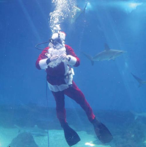 Island Events • December 6, 2018